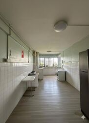 Blk 703 Reservoir Rise (Bedok), HDB 3 Rooms #503821371